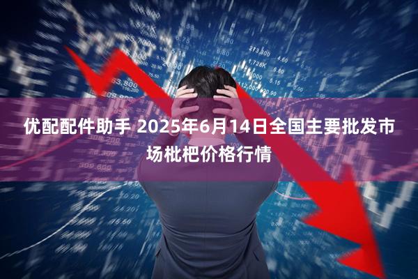 优配配件助手 2025年6月14日全国主要批发市场枇杷价格行情