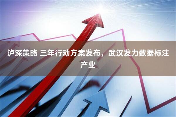 泸深策略 三年行动方案发布，武汉发力数据标注产业