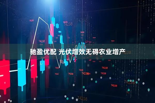 驰盈优配 光伏增效无碍农业增产