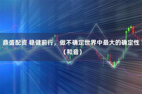 鼎盛配资 稳健前行，做不确定世界中最大的确定性（和音）